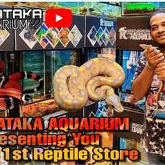 KARNATAKA AQUARIUM Presenting You India's 1st REPTILE STORE | Exotic Reptiles | #india #reptiles