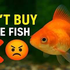 Top 7 Aquarium Fish You’ll Regret Buying |Avoid These Mistakes!