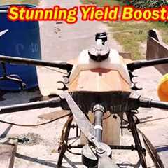 Agriculture Drone Spray on Field Reveals Stunning Yield Boost! Drone Technology in Agriculture