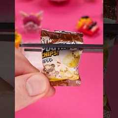 What's Inside The Bag Of Pugtato Chips From The Mini Brands Kawaii! #whatsinside #minibrands #kawaii