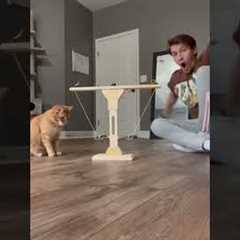 WORLDS SMARTEST CAT