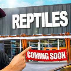 I Finished Building My New Reptile Zoo! For Now
