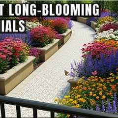 🌼 20 Longest-Blooming Perennial Flowers That Keep Your Garden Alive – Discover & Grow Today! 🌼