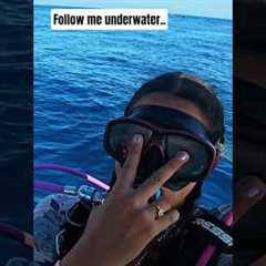 Let's SCUBA DIVE in the GILI'S, Indonesia 🪸 #ocean #lombok #bali #travel