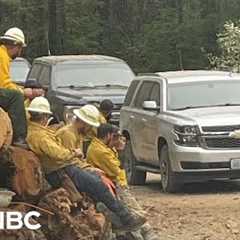 'F---ing crazy': ICE swoops in on firefighters IN THE MIDDLE of battling wildfire