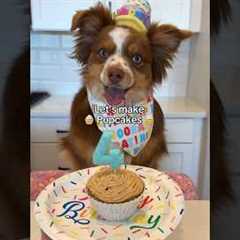 Happy Birthday Ember! Dog friendly cupcakes recipe! #dog #shorts