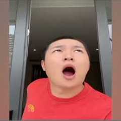Sagawa1gou Funny Videos (FAILED TRAVEL)