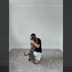 How to install a carpet like a pro #diy #how #carpets #construction #howto #stepbystep #renovation