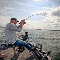 Use THIS Method to Catch More Species on ANY Lake