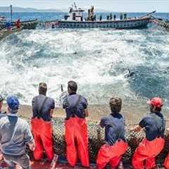 Everyone should watch this Fishermen's video - Big Catch Hundreds Tons Fish With Modern Big Boat
