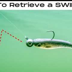 5 SWIMBAIT Retrieves That ALWAYS Get BITES!