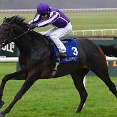 HAWK MOUNTAIN impresses for Ballydoyle
