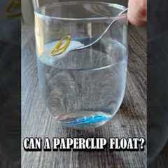 Amazing Paper Clip Floating Experiment! | Easy Science for Kids