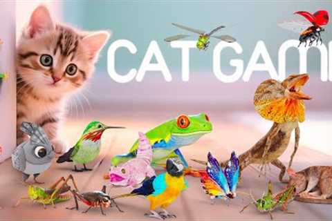 CAT GAMES 🐾3D Game for Cats to Watch – Ultimate CAT TV with Birds, Mice &amp; More! 😻 4K60FPS