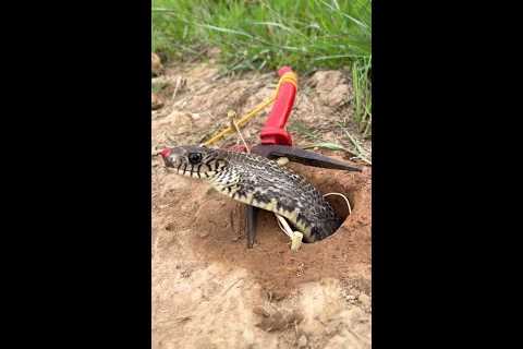 What do you think will happen to the snake and the trap? #snake