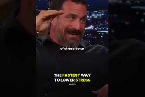 The FASTEST Way to Lower STRESS.