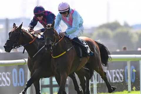 Was it the right decision? NDAAWI awarded Galway Hurdle in stewards' room