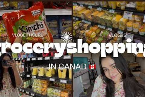 Grocery shopping vlog in Canada 🇨🇦  |walmart &amp; T&amp;T #dailyvlogging #groceryshopping..