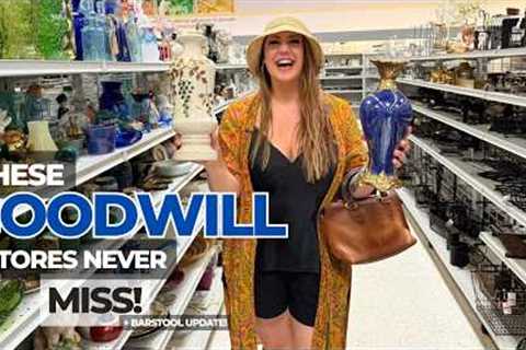 WE RISKED IT ALL! | Goodwill Shopping | Thrift With Me