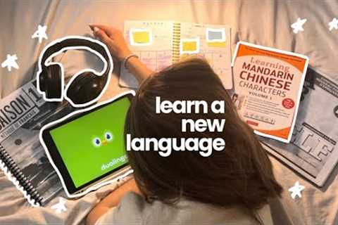 how to learn a new language on your own! (a guide) ⭑