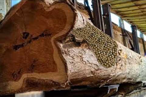 Luckily found it first!! Be careful, there something in this wood sawmill