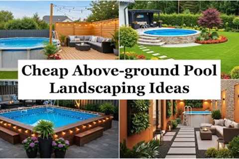 2025 Cheap Above-ground Pool Landscaping Ideas - Landscaping Around an Above Ground Pool on a Budget