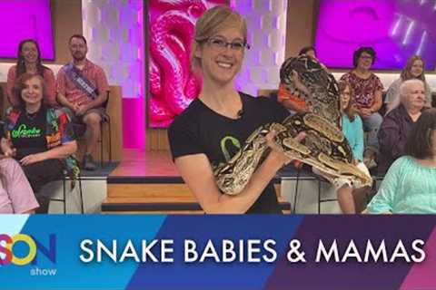 How many snakes can Jason hold? It's a baby snake invasion