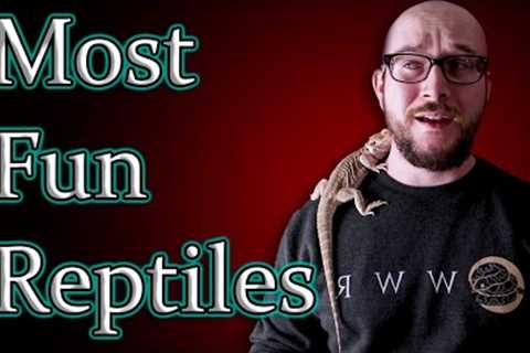 Top 5 Most FUN Interactive Reptiles