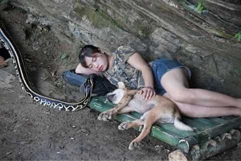 Giant Python Breaks Into Shelter While Sleeping, Survives in the Wild, survival alone
