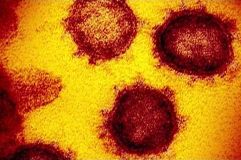 What to know about the new COVID variant