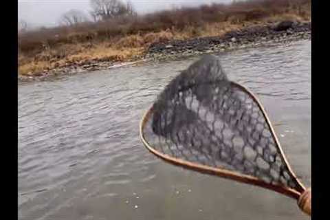 Such a BIG Fish for this Small Creek (Fly Fishing for Trout)