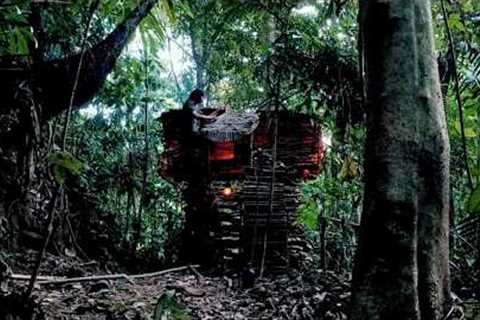 Solo Survival in the Rain, Building a Complete and Warm Bushcraft Shelter, Shrimp Traps