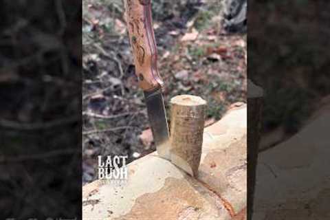 Survival Bushcraft Tips &amp; Tricks You Must Know #survival #bushcraft #outdoors #camping