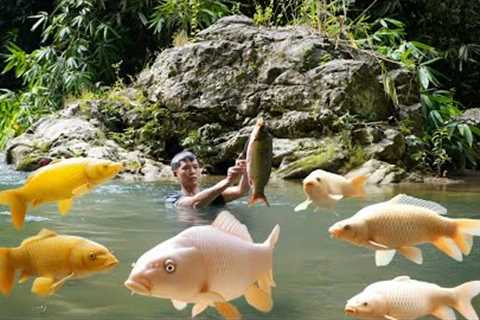 Survival in the wild, Building a kitchen, hunting fish in the wild, giant stream fish, survival life