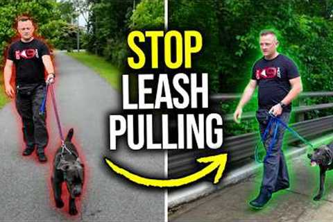 How to STOP Leash Pulling in MINUTES – 100% GUARANTEED! ANY Dog, Any Age, Any Breed