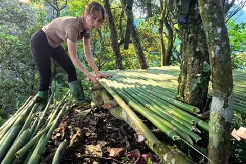 Survival Solo Shelter in the Jungle | Catching River Crabs &amp; Building a Bamboo Hut
