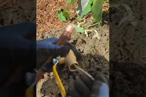 Outdoor Leak Repair: Cleaning and Soldering the new Shut-Off Valve and Pipe