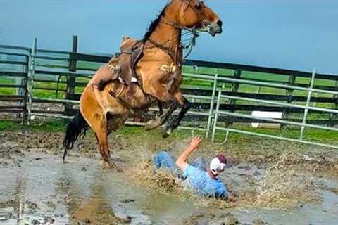 Try Not to Laugh Challenge Impossible🤣 Best Fails of July 2025