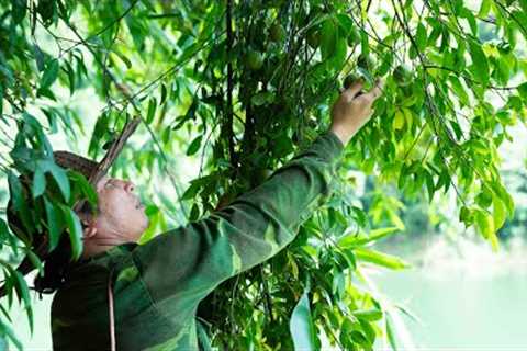 Harvesting Wild Fruit, Fishing, Natural Food, River Survival  | EP.483