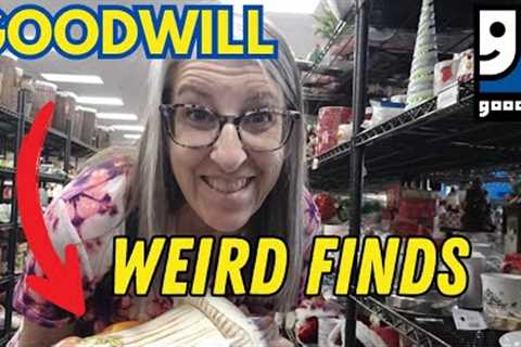 WEIRD FINDS at the Goodwill Thrift Store