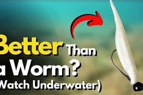 5 Shaky Head Lure ALTERNATIVES That Excel (Watch Underwater)