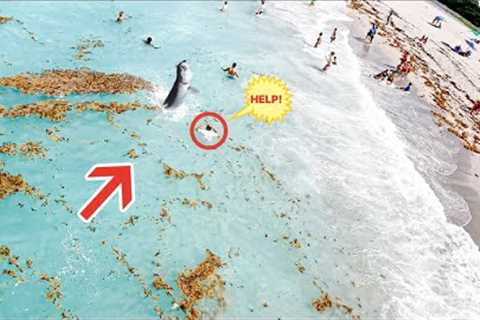 THIS Is Why You DON'T Swim Next To A Fishing Pier!