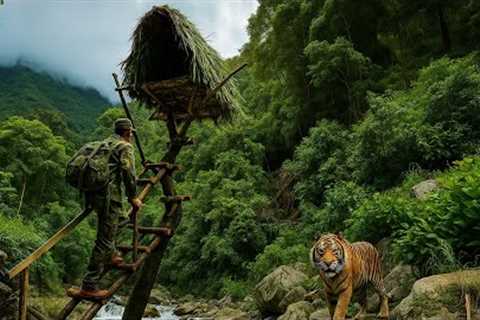 Build Tree Shelters, Survival Skills In The Jungle To Avoid Wild Animal Attacks.