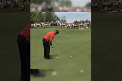 Craziest golf shot of all time!