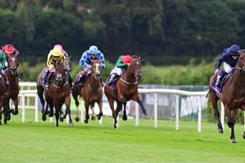 MONTREAL mauls rivals in Leopardstown romp