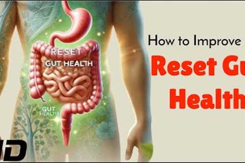 Gut Health Reset: How to Rebuild Your Microbiome Fast!