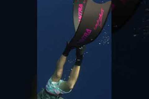 Spearfishing Yellowfin Tuna in Bali