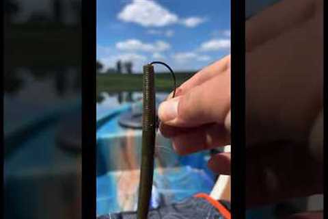 Bass Fishing - How to Texas Rig a plastic worm. #bigbassenergy #catchinbass #fishing #bassfishing