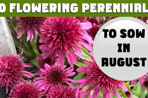 10 Cottage Garden PERENNIALS you need to SOW in AUGUST. Zones 3 to 10 #cutflowergarden #gardening