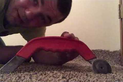 BEST CARPET TOOL EVER